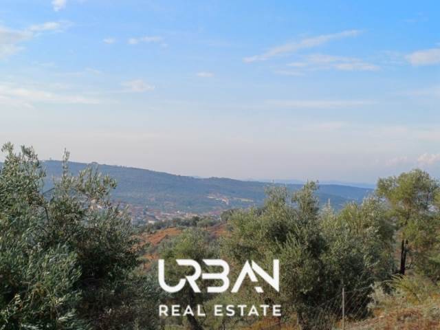 (For Rent) Residential Detached house || Lesvos/Mytilini - 65 Sq.m, 1 Bedrooms, 400€ 